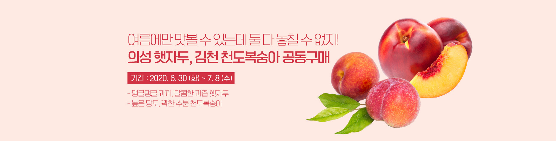 의성 햇자두&김천 천도복숭아 공동구매